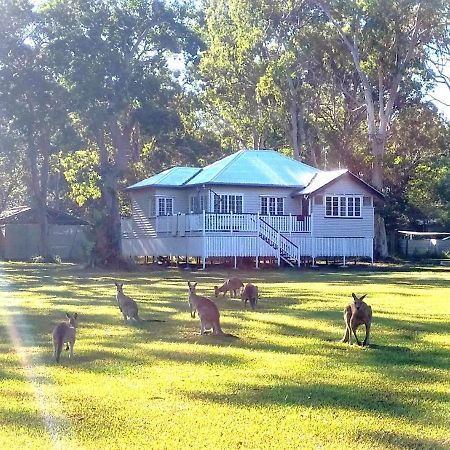 Lake Weyba Noosa Lodge & Kangaroos Перегиан-Бич Экстерьер фото