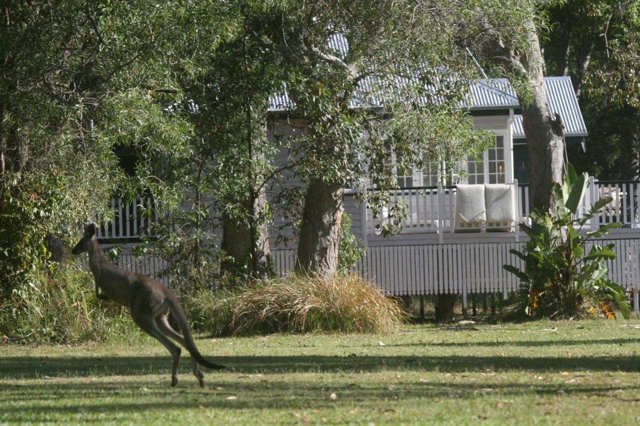 Lake Weyba Noosa Lodge & Kangaroos Перегиан-Бич Экстерьер фото