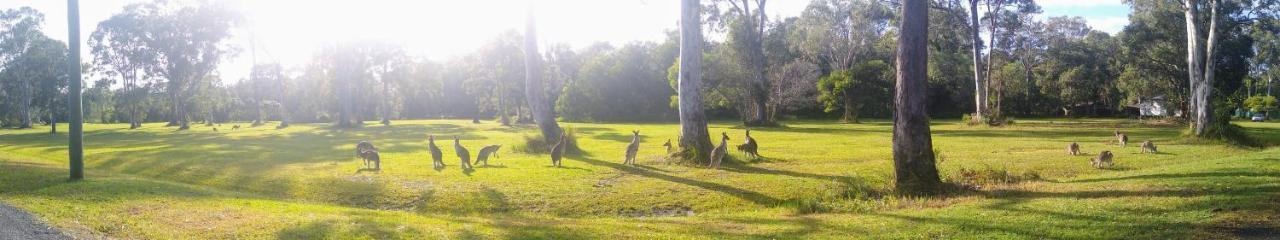 Lake Weyba Noosa Lodge & Kangaroos Перегиан-Бич Экстерьер фото