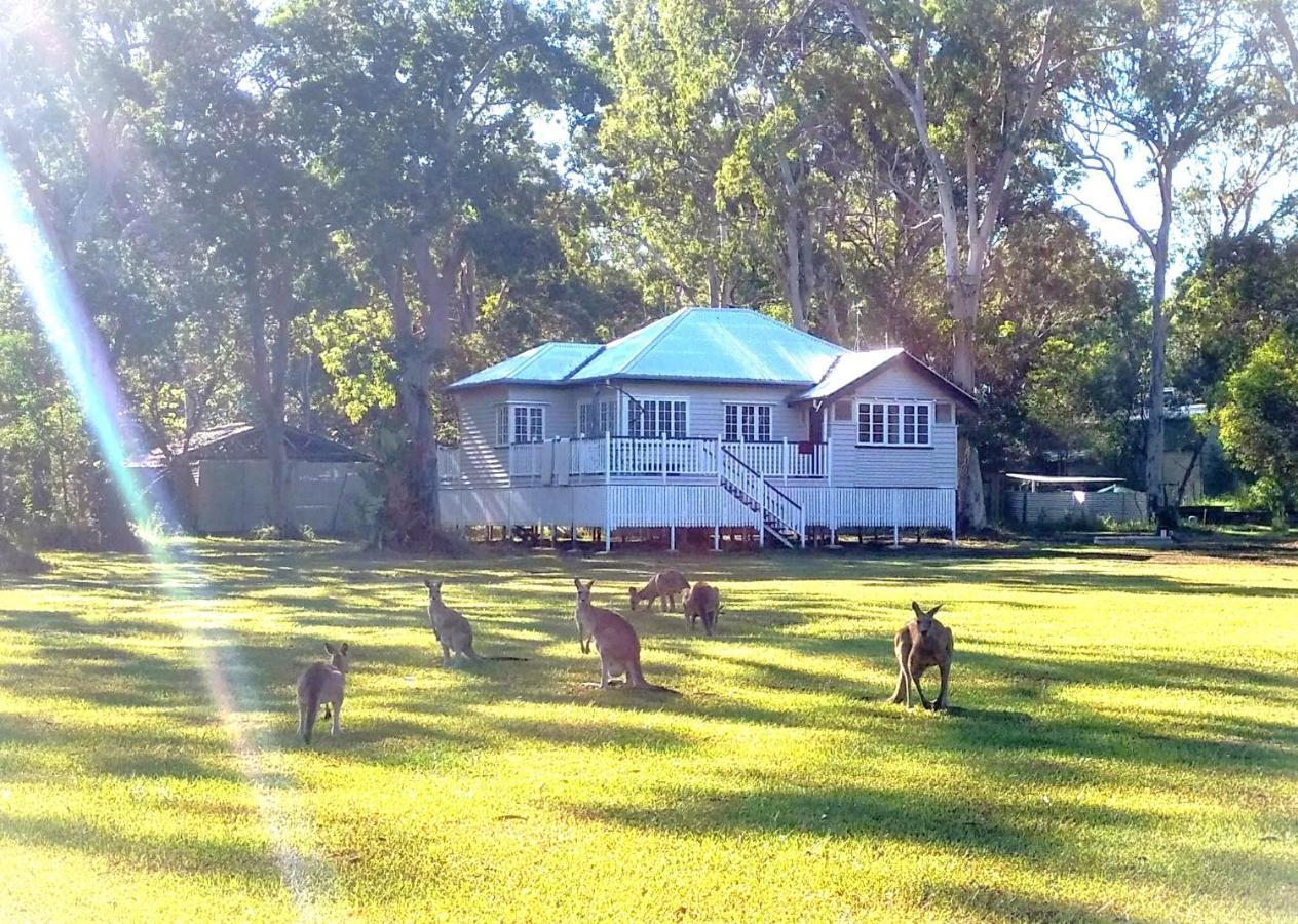 Lake Weyba Noosa Lodge & Kangaroos Перегиан-Бич Экстерьер фото